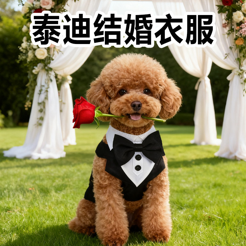 Teddy Wedding Clothes for Attending a Wedding, Puppy Dowry, Pet Wedding Dress, Suit, Spring, Autumn, Winter, Tuxedo, Formal Wear Teddy Wedding Clothes for Attending a Wedding, Puppy Dowry, Pet Wedding Dress, Suit, Spring, Autumn, Winter, Tuxedo, Formal Wear