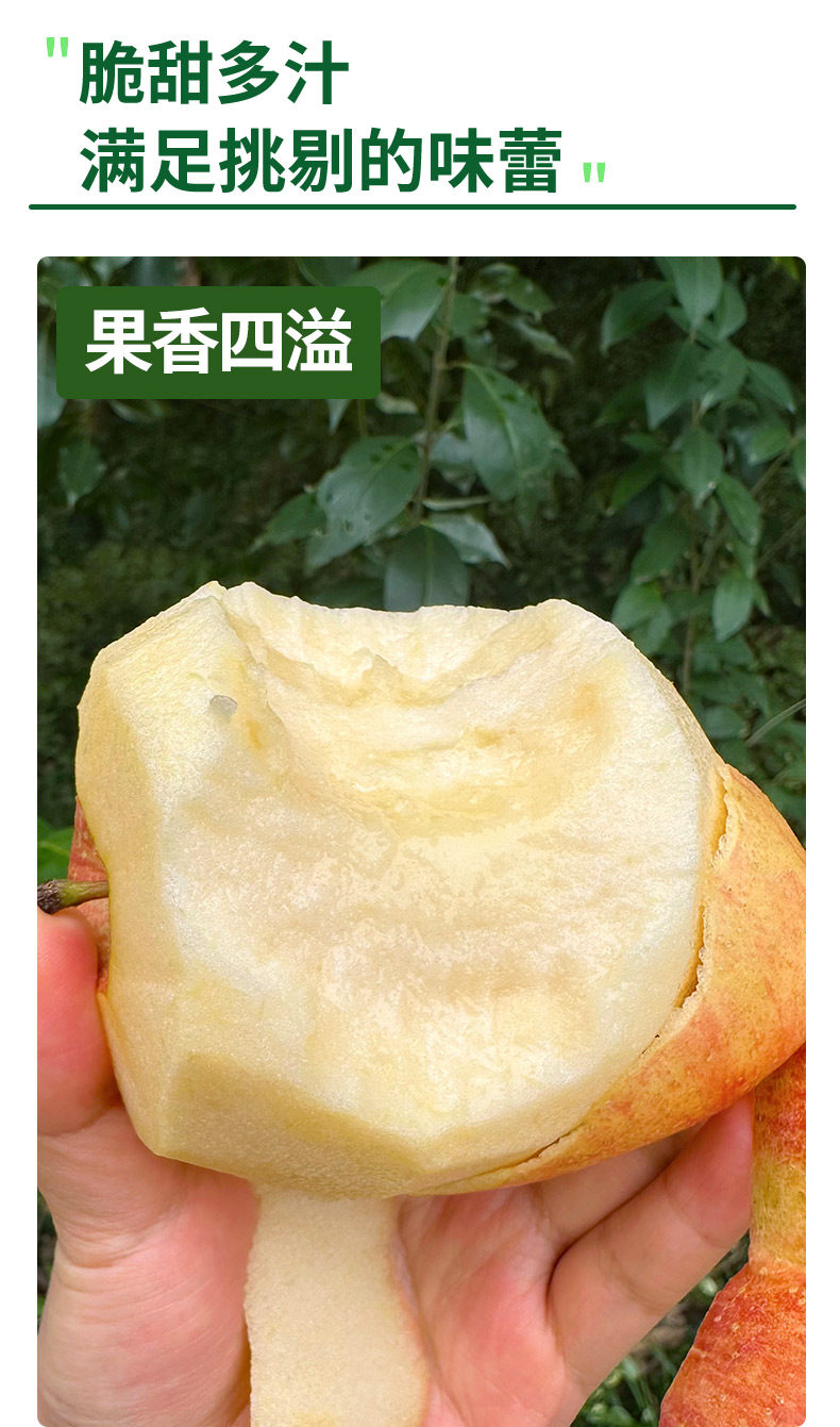 Яблоки Red Fuji Ugly Apple 1.36 кг