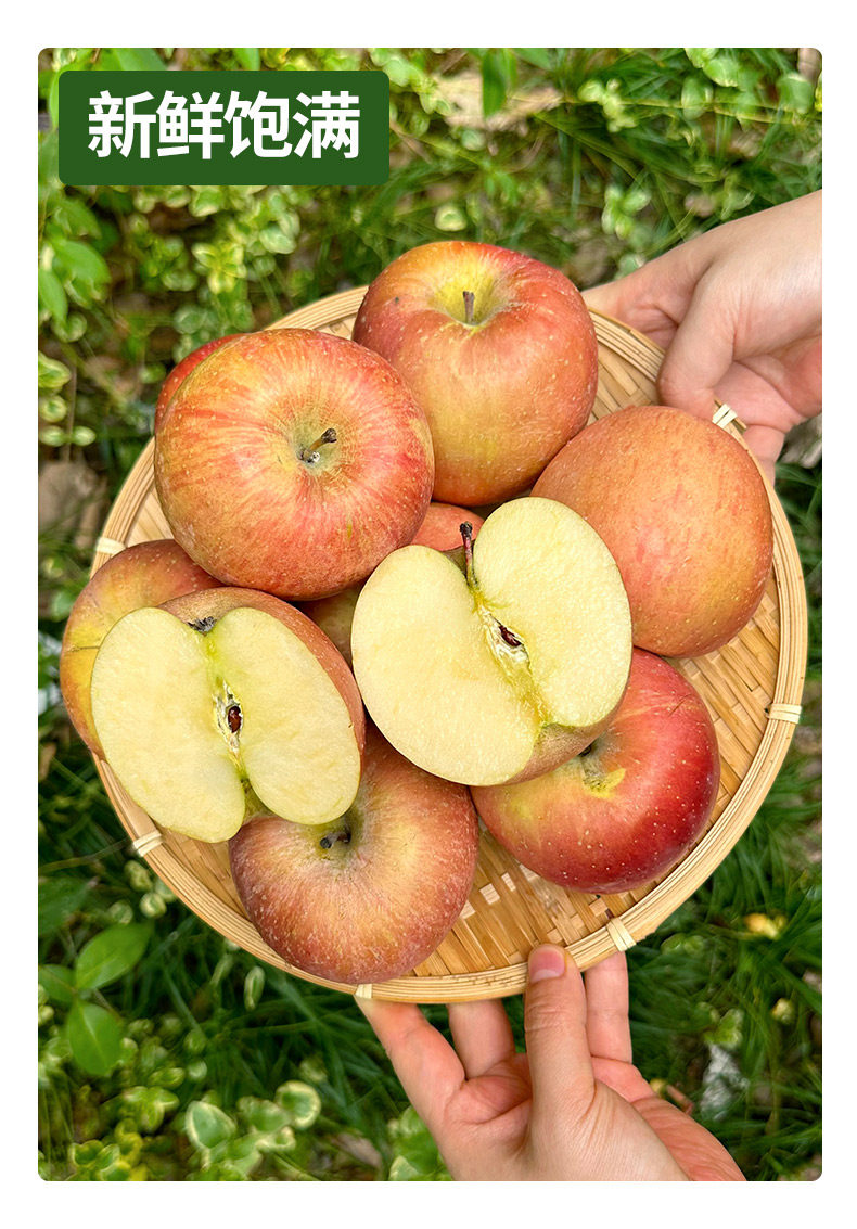 Яблоки Red Fuji Ugly Apple 1.36 кг