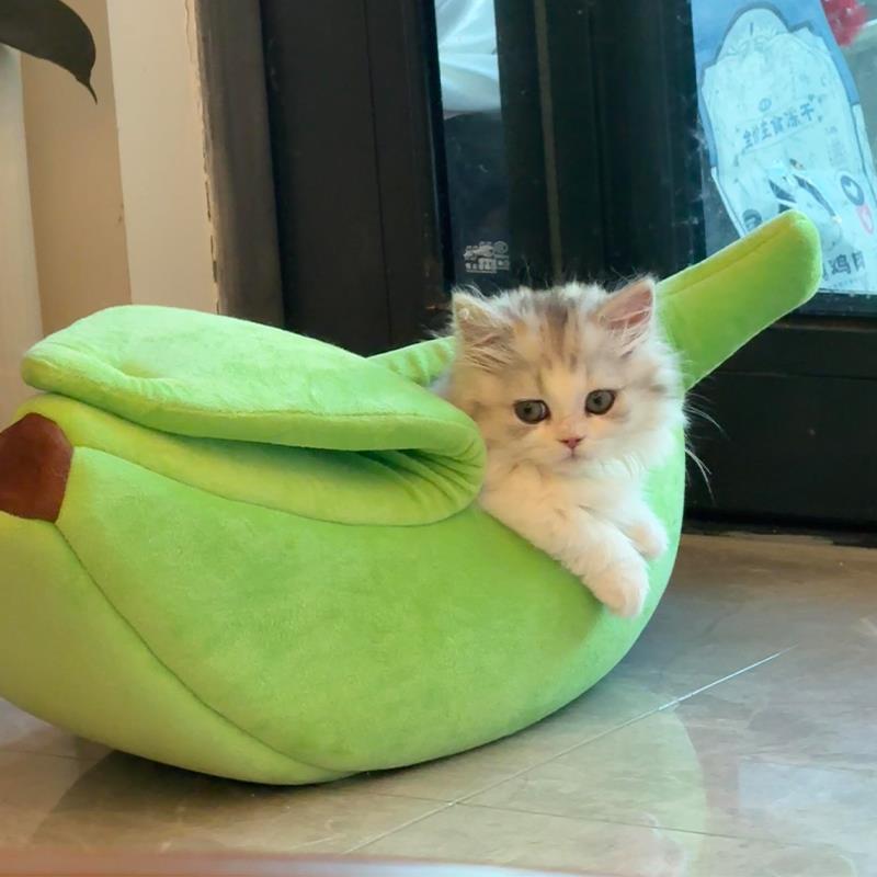 给小宠物打造舒适窝的黑科技