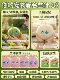 Children's Day Gift for Girls: Fu Zai Ai Smart Robot Toy Pet Companion for Emotional Chat and Dialogue