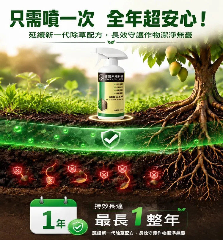 详情12.jpg