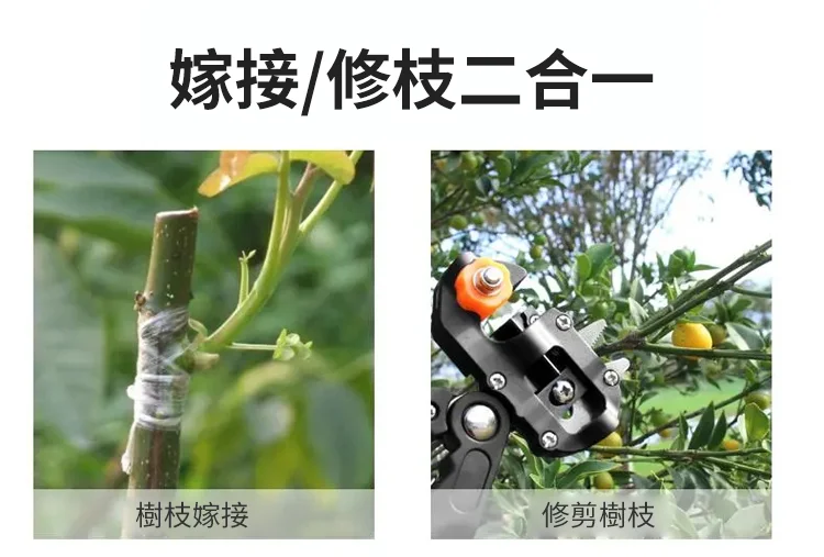 02.webp