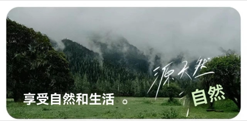 20260413_191504_001 (1).png