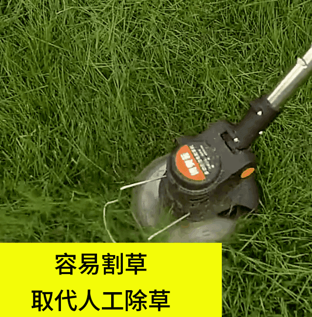 20260618_100247_072.gif