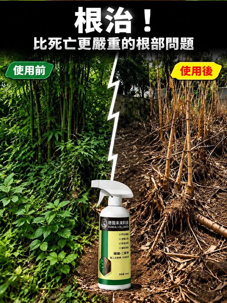 详情09.jpg