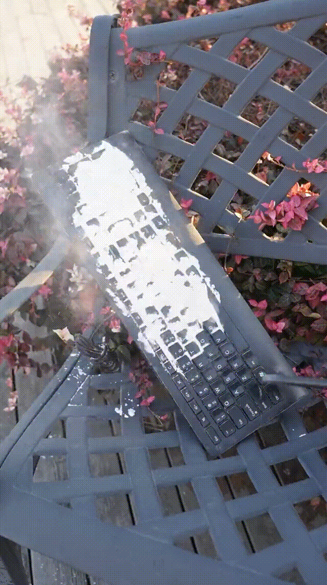 11.gif