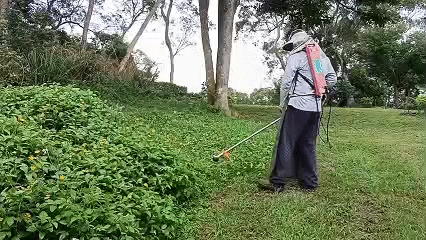 20260618_100247_064.gif