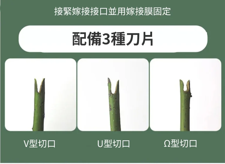 13.webp