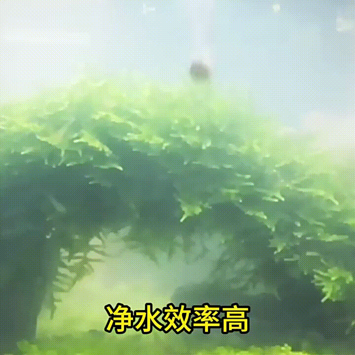 20260430_092228_019.gif
