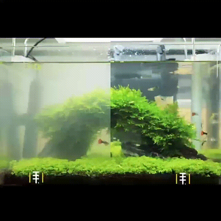20260430_092228_022.gif