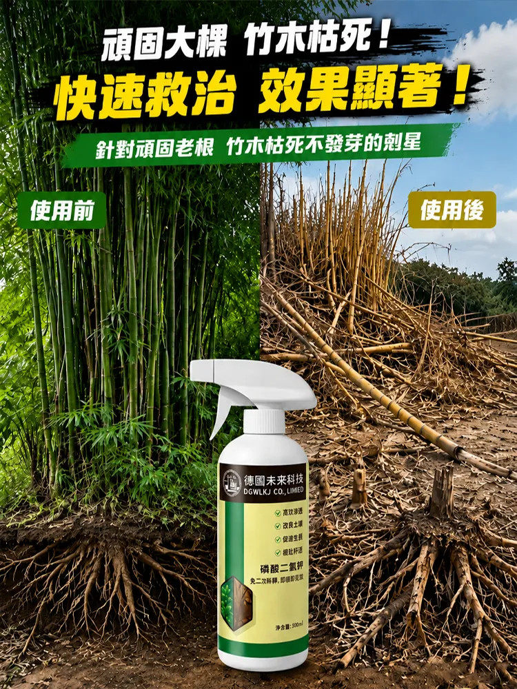 详情01.jpg