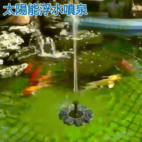 20260514_090551_002.gif