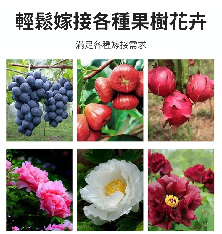 06.webp