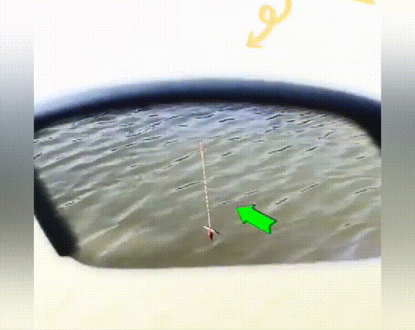 20260409_120021_017.gif