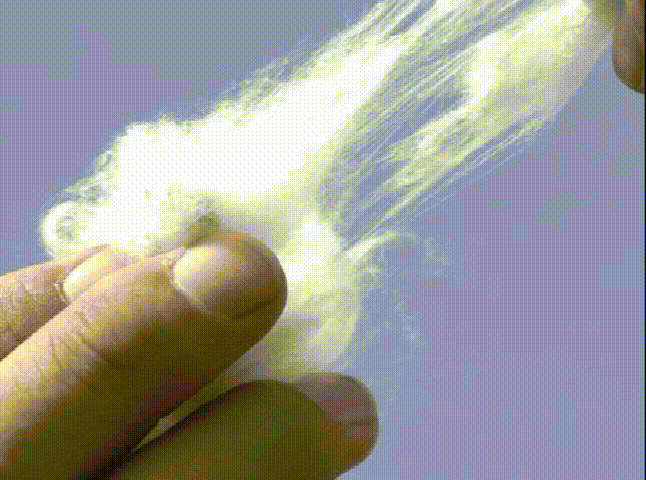 20260605_170438_080.gif