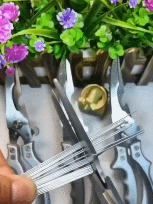 20260611_134341_007.gif