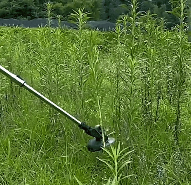 20260618_100247_073.gif