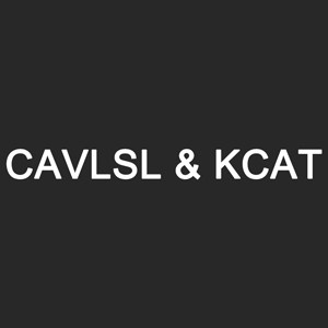 CavlslKcat箱包皮具品牌店