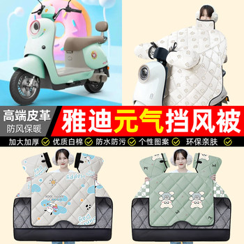 Electric vehicle windshield