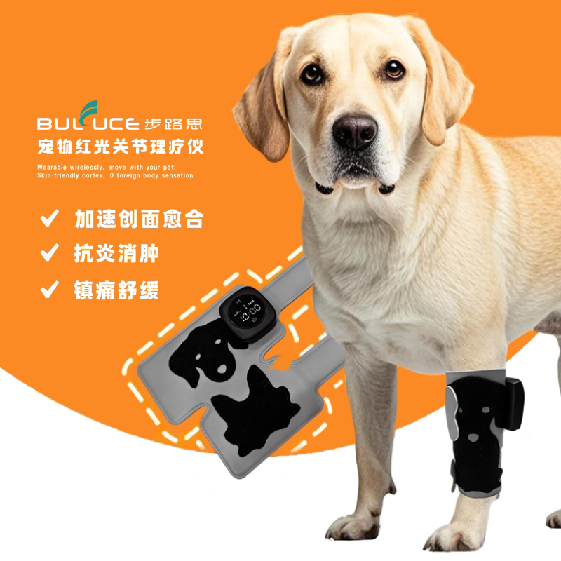 Bulu Si Pet Physical Therapy Device Red Light Joint Therapy Device Wireless Control Wearable Design Pet Wellness and Health Care Bulu Si Pet Physical Therapy Device Red Light Joint Therapy Device Wireless Control Wearable Design Pet Wellness and Health Care