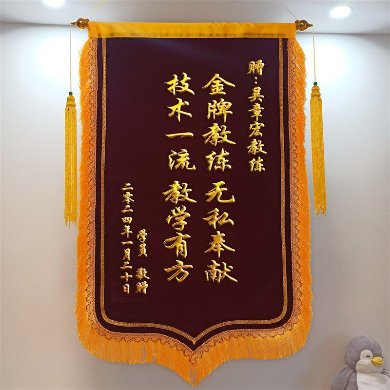 教练锦旗定制定做感谢驾校教练制作旌旗送健身武术游泳体育医生警