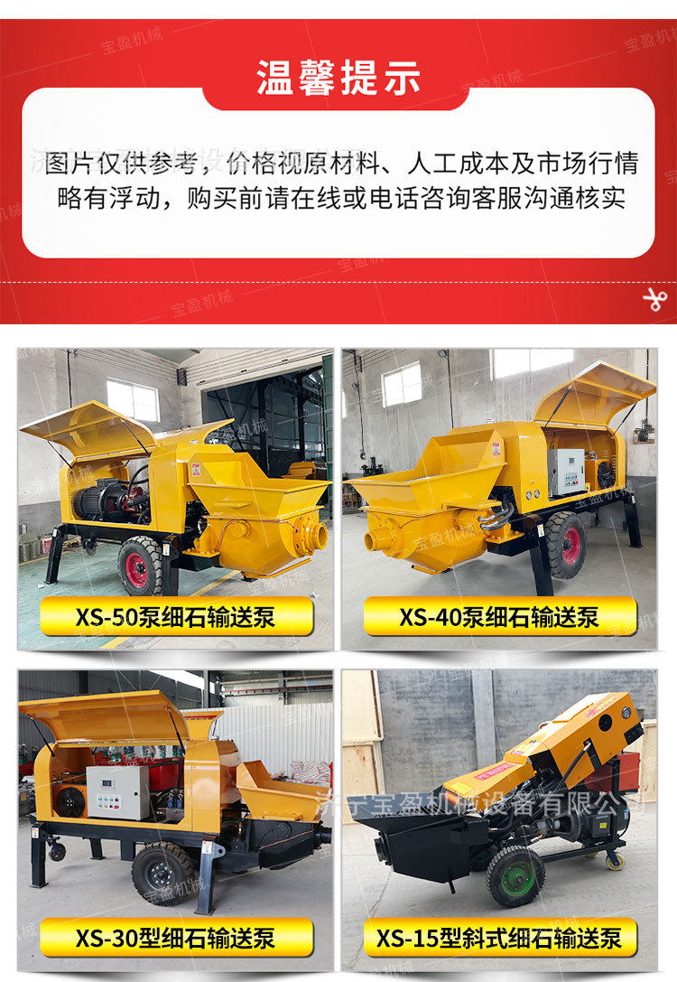 Бетононасос 小型混凝土输送泵斜式15型小金刚浇筑泵细石砂浆浇灌泵二次构造泵 Bauhinia