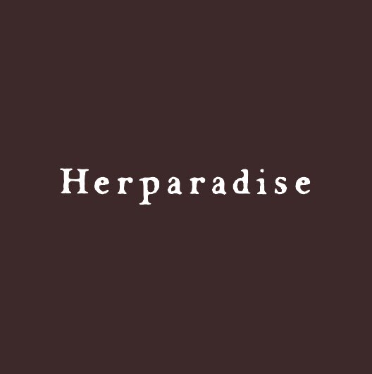 HERPARADISE绘夜