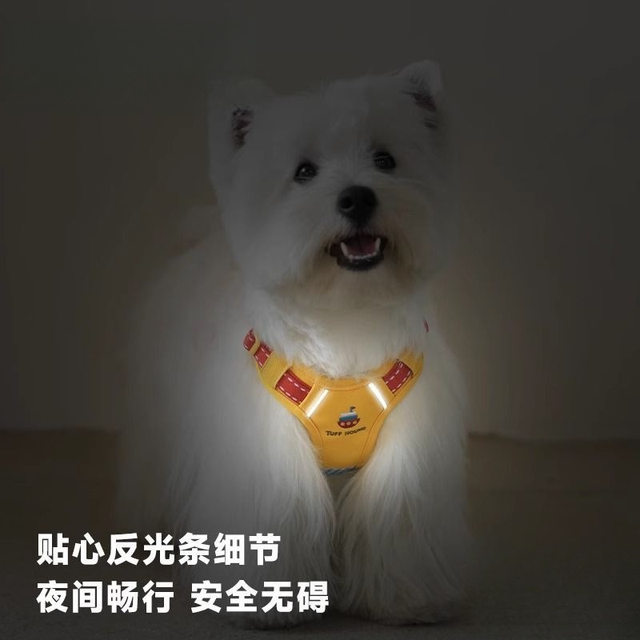 Portable Dog Leash, Universal, Automatic, Retractable, Durable, Suitable for Walking Dogs Outdoors