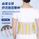 Baixi Waist Support Belt Is Lightweight, Breathable, and Provides Support for the Lumbar Spine, with Skin-Friendly Fabric That Provides All-Round Support and Is Suitable for All Seasons