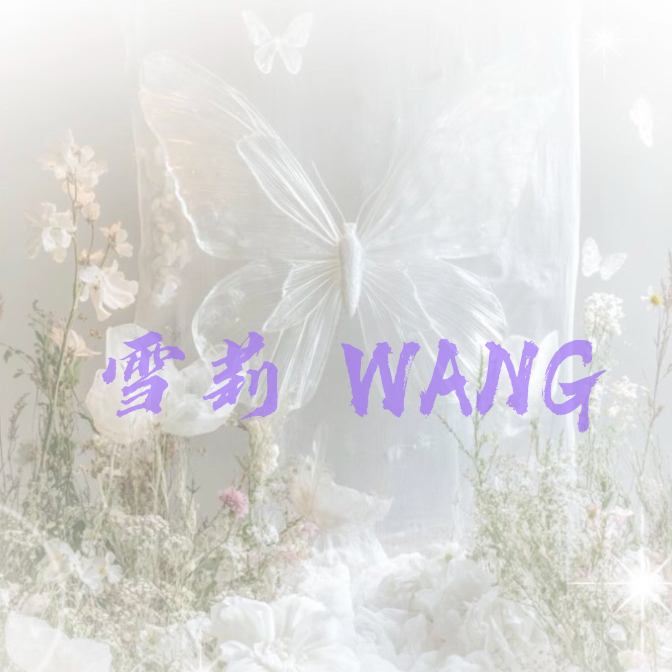 雪莉WANG  私人定制