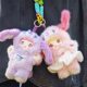 Nommi V5 Nuomi'Er 5Th Generation Puppy Diary Vinyl Plush Pendant Blind Box Doll Toy Girl Gift