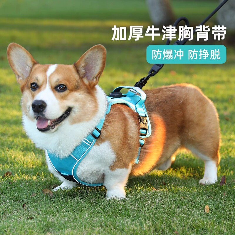 German Imported Dog Leash Harness Vest-Style Harness for Medium and Large Dogs, Anti-Pull Pet Walking Leash Dog Chain