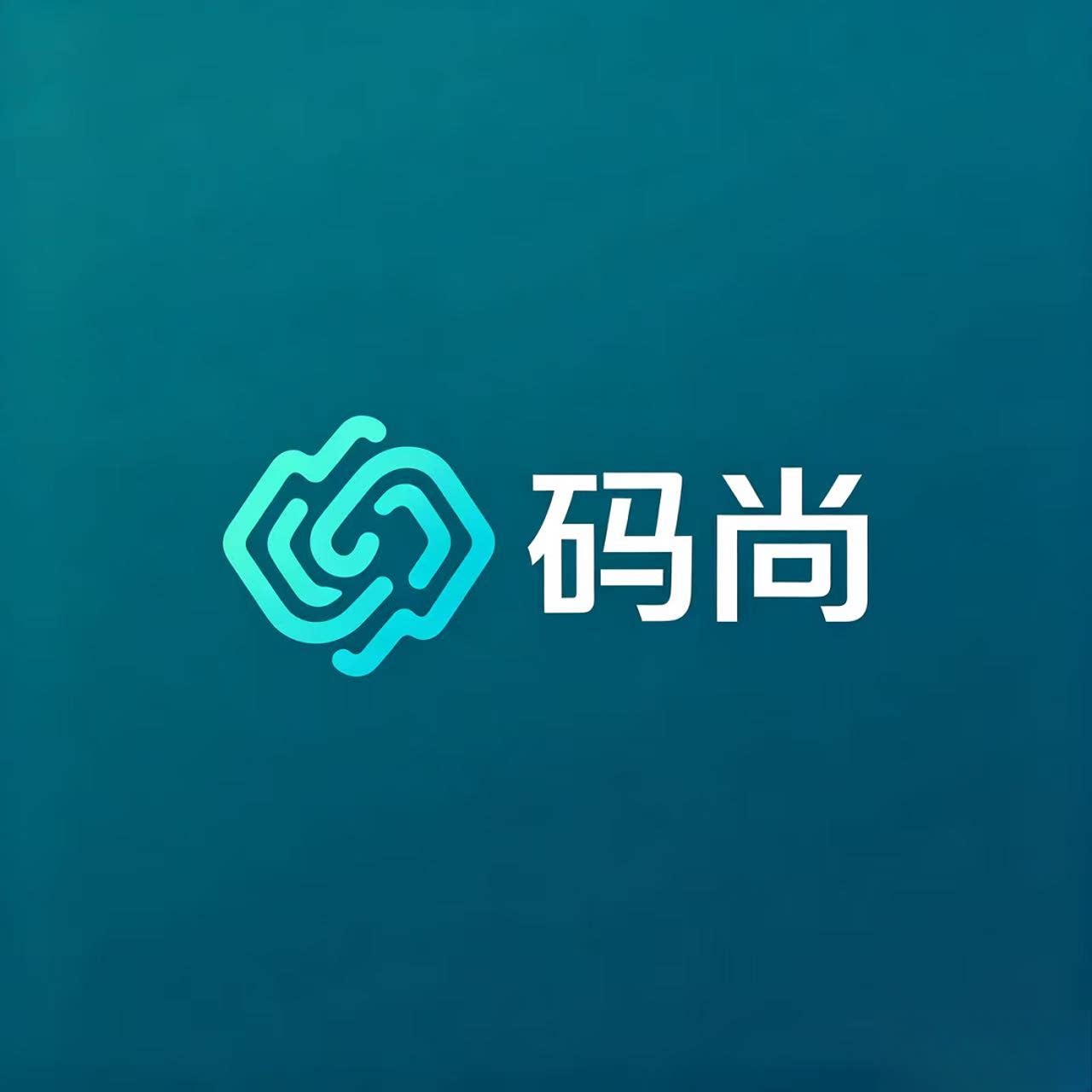 码尚数码企业店