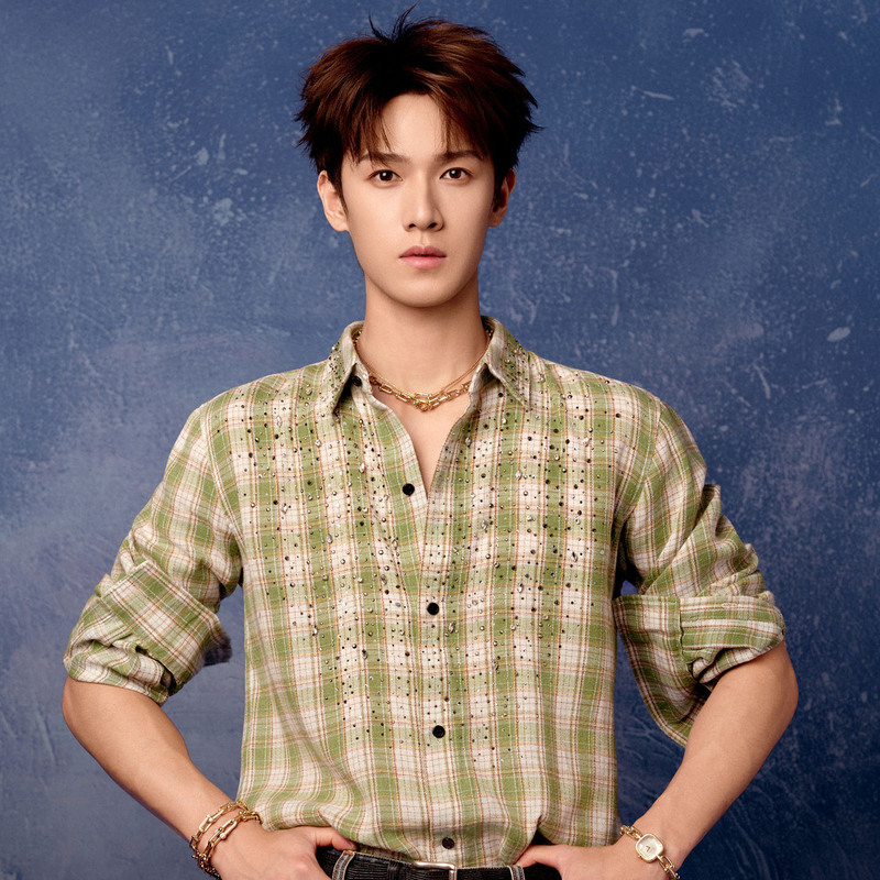 Li Yunrui Celebrity Style Heavy-Duty Rhinestone Green Plaid Shirt for Men, Long-Sleeved, Loose-Fitting, Turn-Down Collar, Casual Spring and Autumn Shirt, Trendy Li Yunrui Celebrity Style Heavy-Duty Rhinestone Green Plaid Shirt for Men, Long-Sleeved, Loose-Fitting, Turn-Down Collar, Casual Spring and Autumn Shirt, Trendy