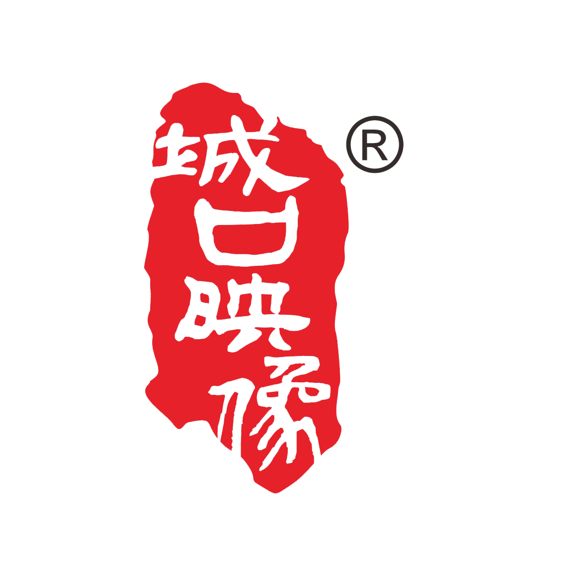 城口映像旗舰店