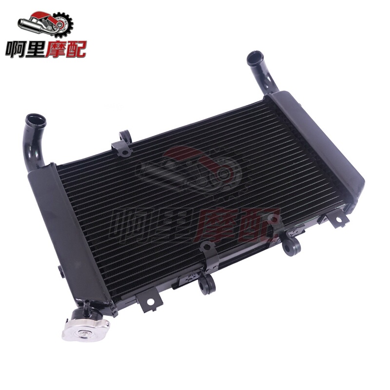 Suitable for Honda Cb650R Cbr650R 19-25 Water Tank Assembly Water Modification Cooler Radiator Aluminum