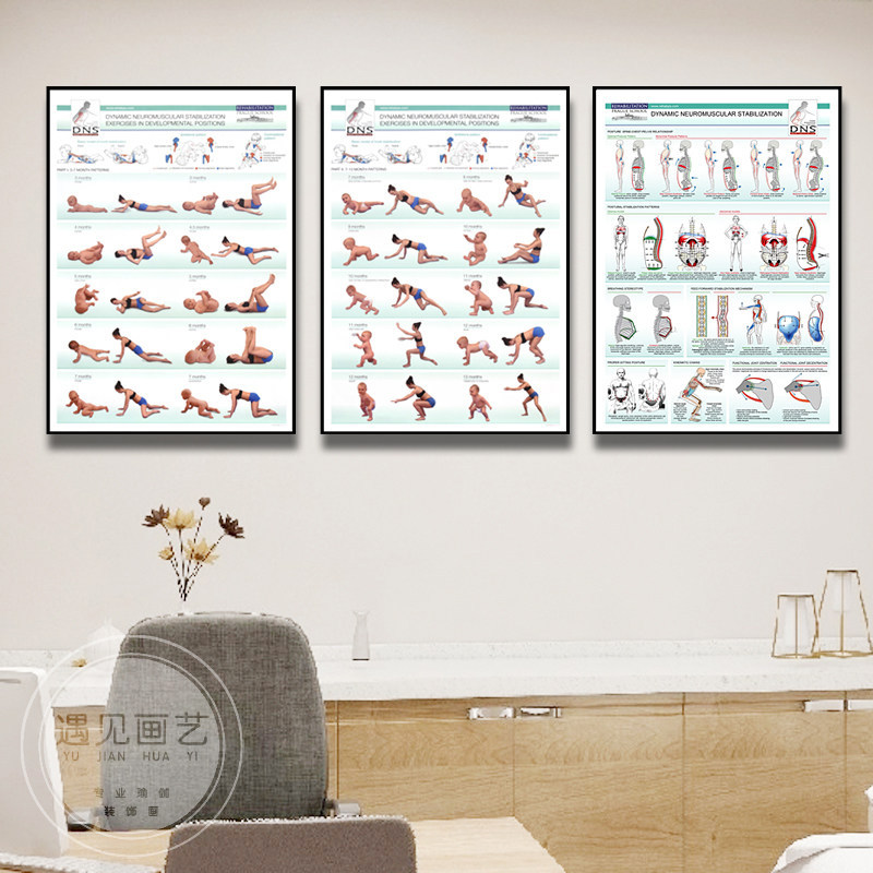 Dns Training Wall Chart Sports Fitness Physical Therapy Rehabilitation Studio Wall Art Pilates Yoga Studio Wall Decoration Painting Dns Training Wall Chart Sports Fitness Physical Therapy Rehabilitation Studio Wall Art Pilates Yoga Studio Wall Decoration Painting