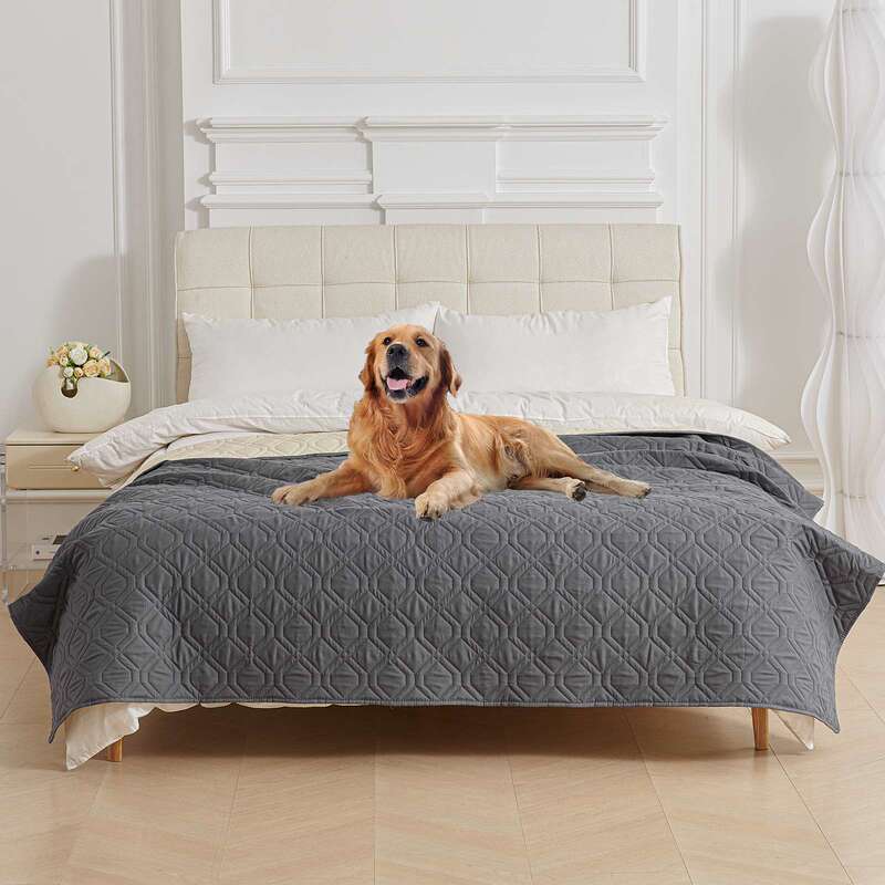 Cross-Border Best-Selling Waterproof and Leak-Proof Pet Mattress, Amazon Pet Bed Sheet, Sofa Cushion, Mattress Protector
