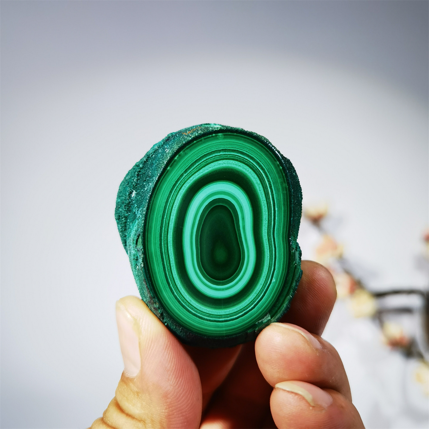 天然孔雀石 原礦切片 礦物晶體教學標本 玉石觀光石收藏擺件