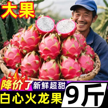 Yunnan white heart dragon fruit super sweet extra large fruit jindu