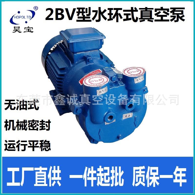 2BV水环式真空泵：工业级大吸力，雕刻机抽气神器！🔧🚀