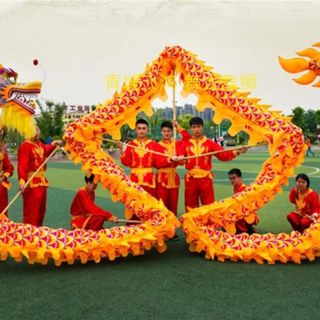 舞龙道具舞龙龙优质密度绸布龙钢丝龙龙眼带灯三号龙