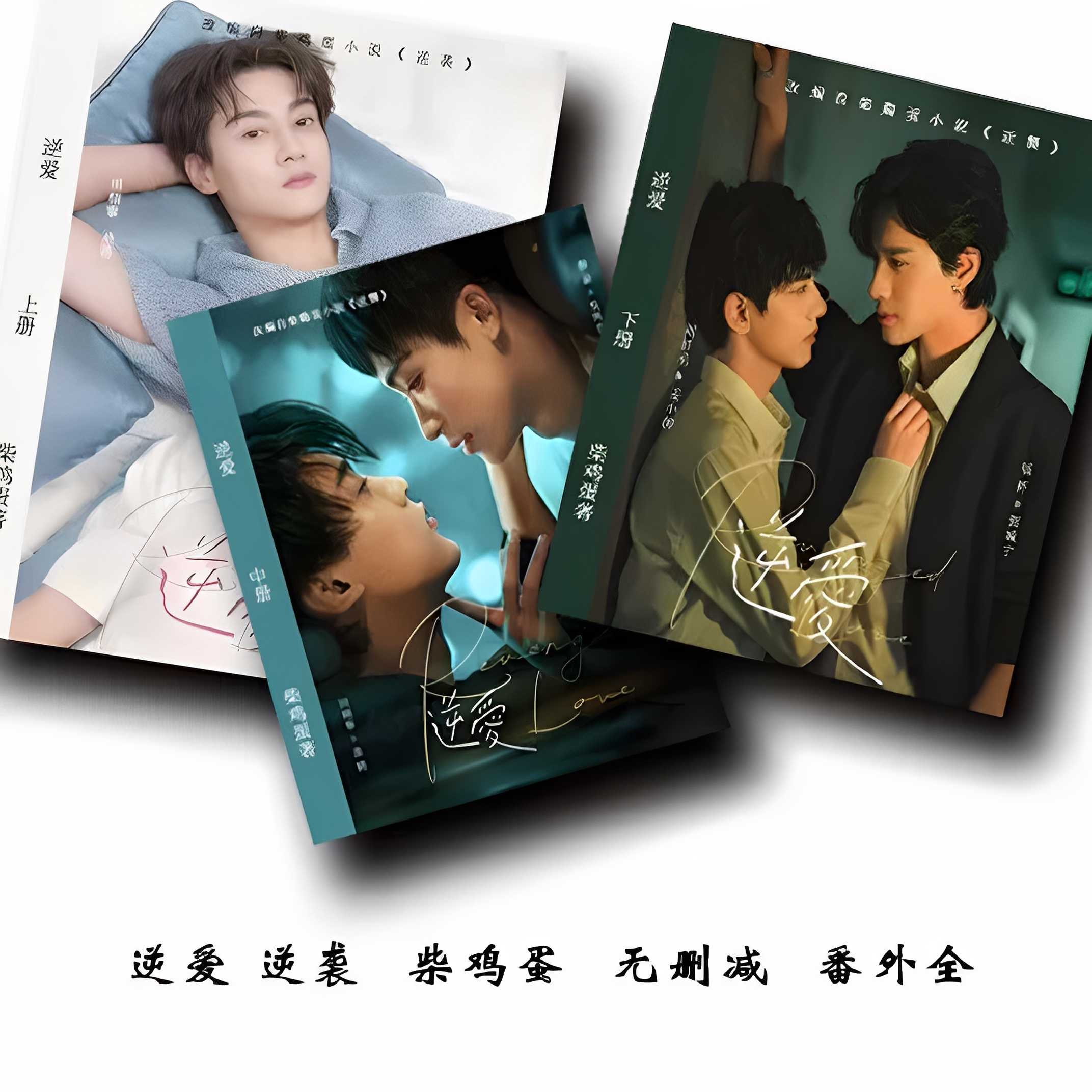 田栩寧 公式Ayor toysコラボグッズ 6種 逆愛 RevengedLove 田栩寧 公式