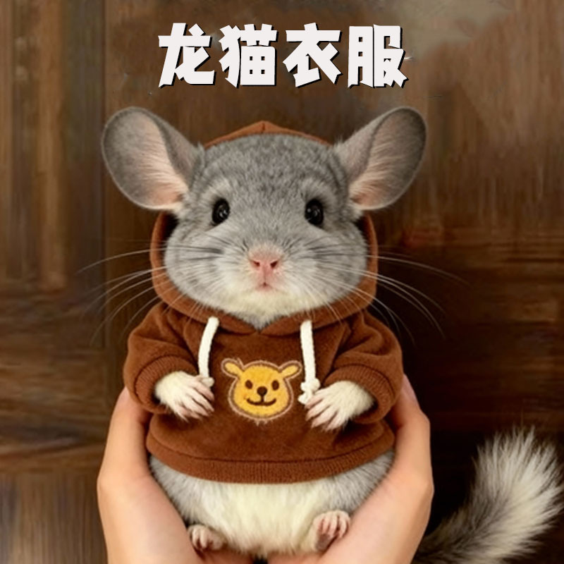 Totoro Clothes, Sweaters, Cute Special Thickened New Style, Warm Winter Outfits, Winter Clothing, Winter Cold-Proof Pet Supplies