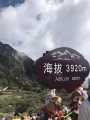 云南瑶瑶特产的LOGO