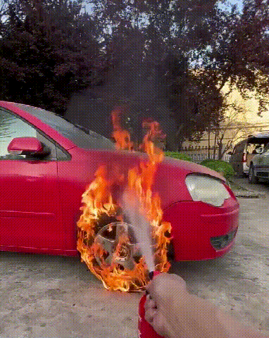 005.gif