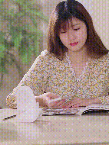 019.gif