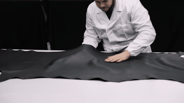 DM_20260415144720_011.gif