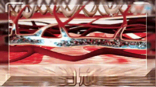 012.gif